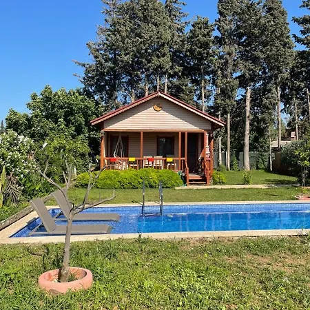 Villa Andizalti Doga Evleri - Badem Ev