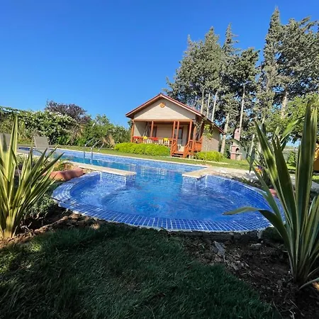 Villa Andizalti Doga Evleri - Badem Ev *