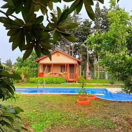 Villa Andizalti Doga Evleri - Badem Ev