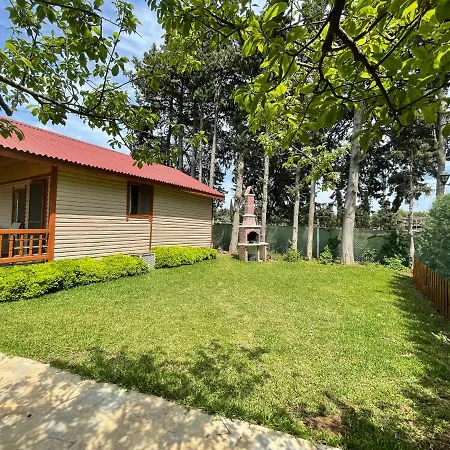 Villa Andizalti Doga Evleri - Badem Ev