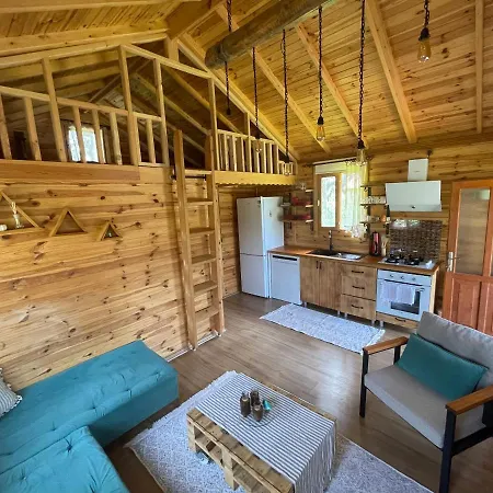 Villa Andizalti Doga Evleri - Badem Ev Datca