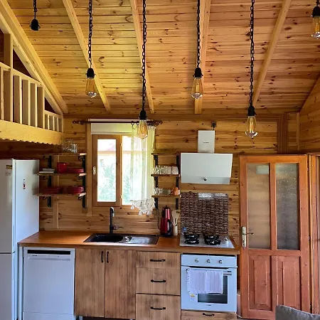 Villa Andizalti Doga Evleri - Badem Ev Datca