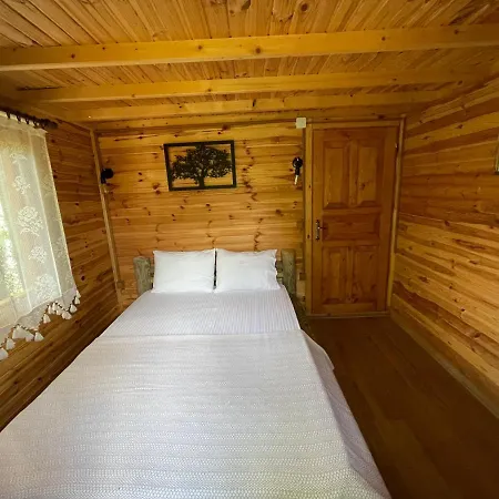 Villa Andizalti Doga Evleri - Badem Ev