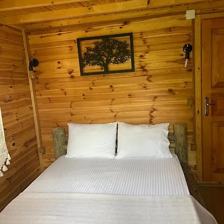 Villa Andizalti Doga Evleri - Badem Ev